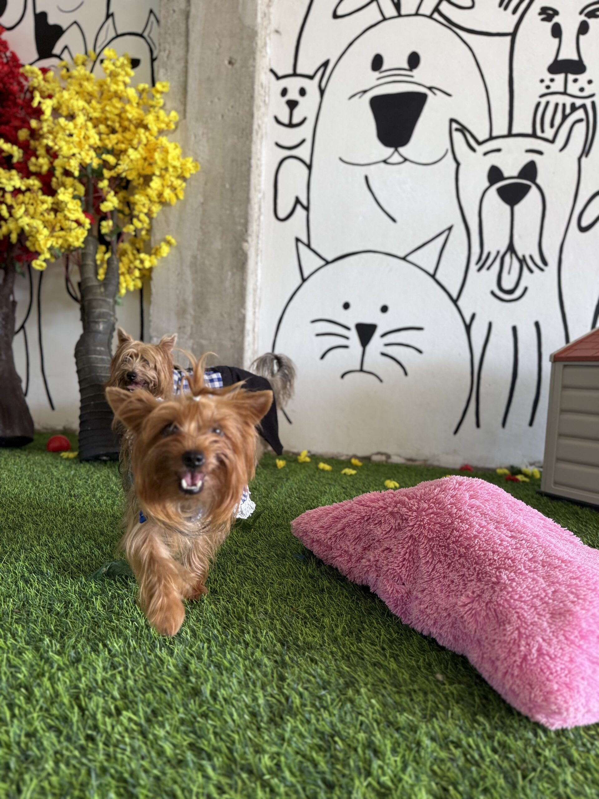 Plan Weekend - Image 2