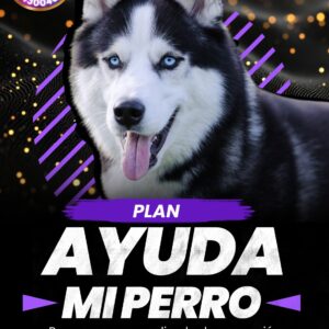 Plan Ayuda Mi Perro