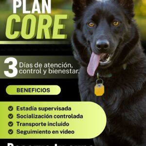 Plan Core