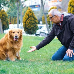 Entrenamiento personalizado